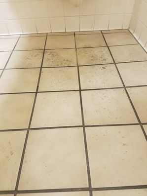 Before & After Floor Cleaning in Tempe, AZ (1)