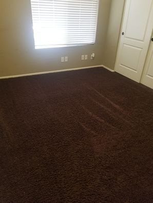 Before & After Carpet Cleaning in Pheonix, AZ (2)